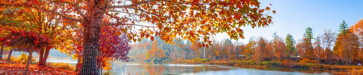 Kurs Mindfulness z Praktykami Compassion